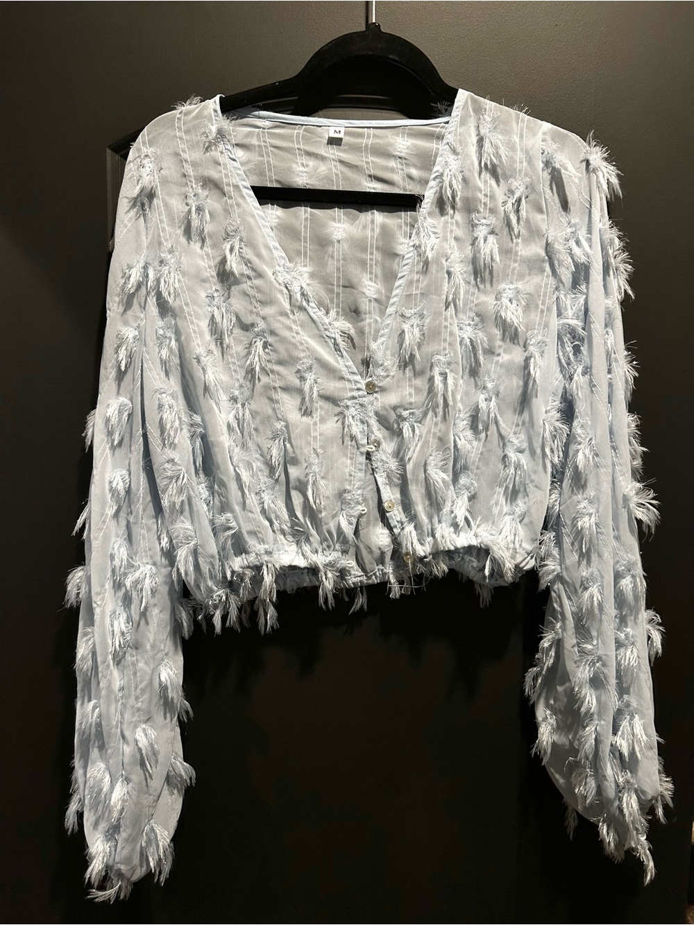 Feather-Trim Light Blue V-Neck Crop Blouse